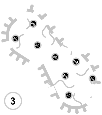 Stops pathogen from replicating.