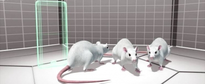 World&#039;s Largest Animal Study on Cell Tower Radiation Confirms Cancer Link